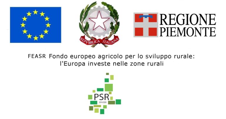 feasr piemonte